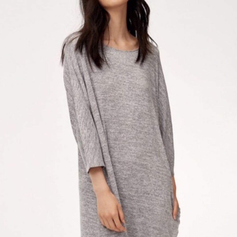 Aritzia Wilfred Free Cober Dress with Pockets
